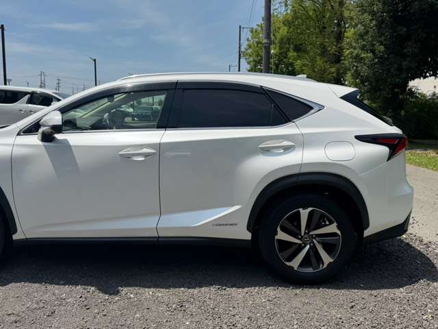 レクサス ＮＸ３００ｈ バージョンＬ H30年 (近畿) 99