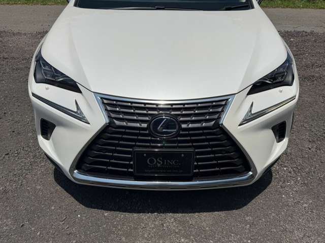 レクサス ＮＸ３００ｈ バージョンＬ H30年 (近畿) 99