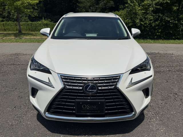 レクサス ＮＸ３００ｈ バージョンＬ H30年 (近畿) 99