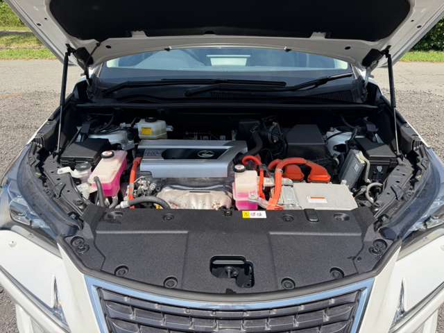 レクサス ＮＸ３００ｈ バージョンＬ H30年 (近畿) 99