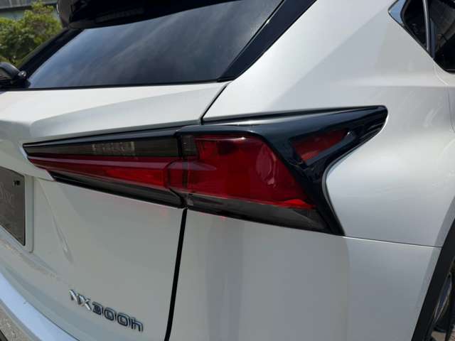 レクサス ＮＸ３００ｈ バージョンＬ H30年 (近畿) 99
