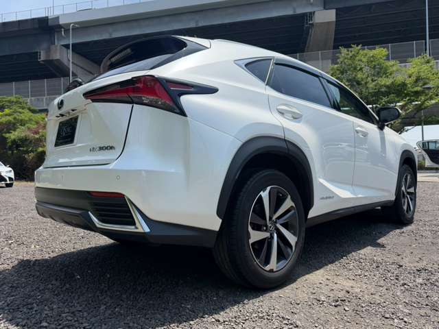 レクサス ＮＸ３００ｈ バージョンＬ H30年 (近畿) 99