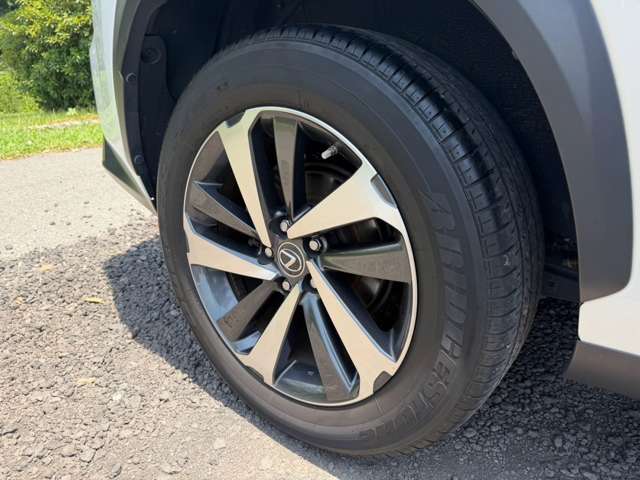 レクサス ＮＸ３００ｈ バージョンＬ H30年 (近畿) 99