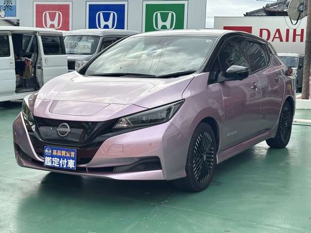 日産 リーフ Ｘ　Ｖセレクション R4年 (東海) 99