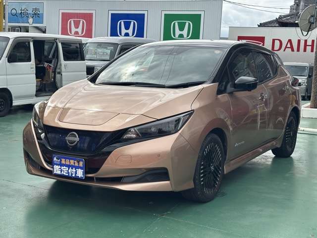 日産 リーフ Ｘ　Ｖセレクション R4年 (東海) 99