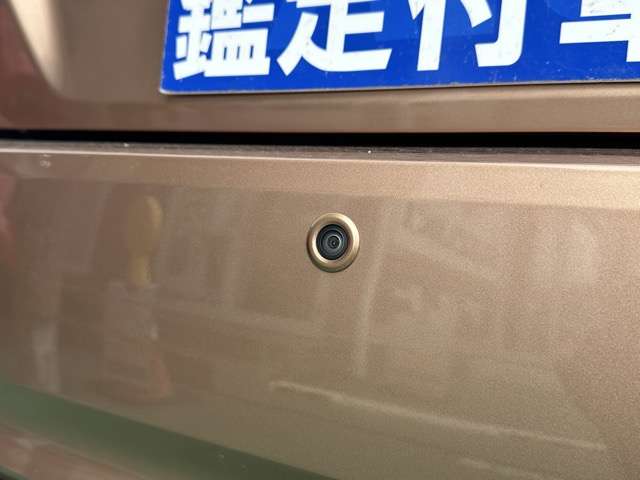 日産 リーフ Ｘ　Ｖセレクション R4年 (東海) 99