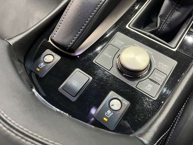 レクサス ＬＳ４６０ Ｆスポーツ H25年 (関東) 99