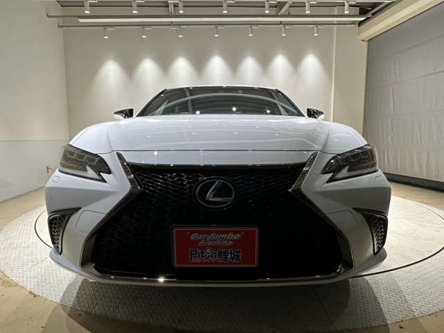 レクサス ＥＳ３００ｈ Ｆスポーツ R1年 (中国) 99