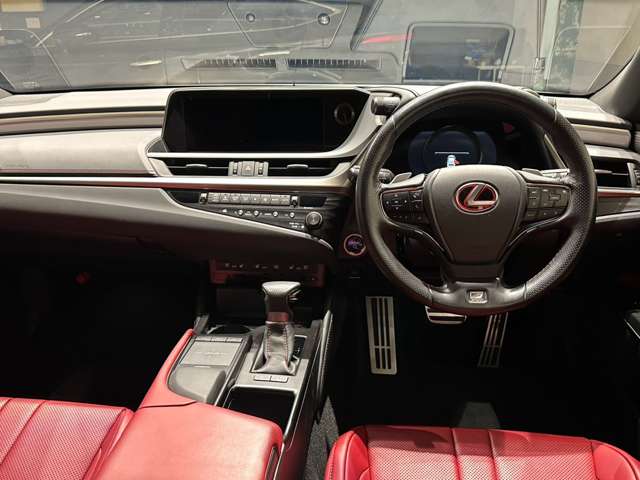 レクサス ＥＳ３００ｈ Ｆスポーツ R1年 (中国) 99