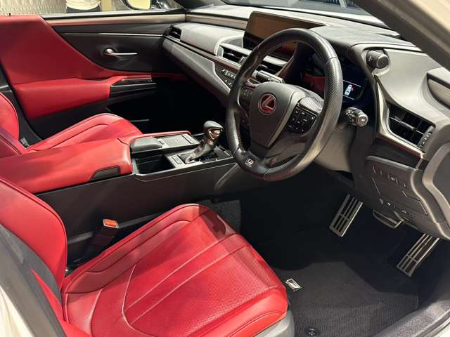 レクサス ＥＳ３００ｈ Ｆスポーツ R1年 (中国) 99