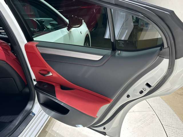 レクサス ＥＳ３００ｈ Ｆスポーツ R1年 (中国) 99