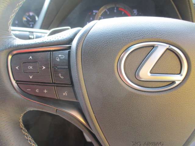 レクサス ＬＳ５００ Ｆスポーツ H30年 (関東) 99