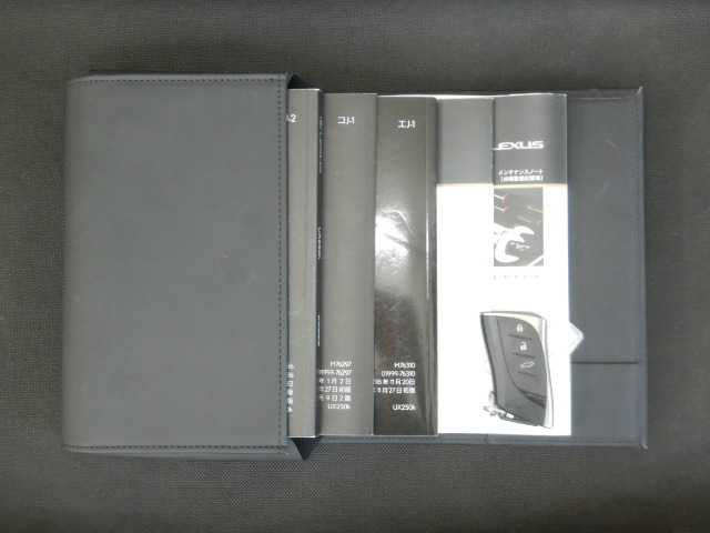 レクサス ＵＸ２５０ｈ バージョンＬ R1年 () 99