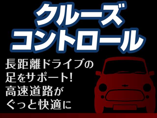 ミニ ミニクロスオーバー ワン H30年 (甲信越・北陸) 99