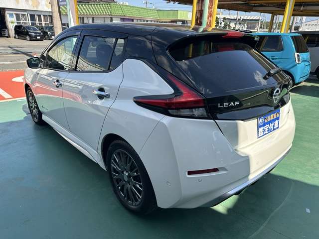 日産 リーフ ＡＵＴＥＣＨ R1年 (東海) 99