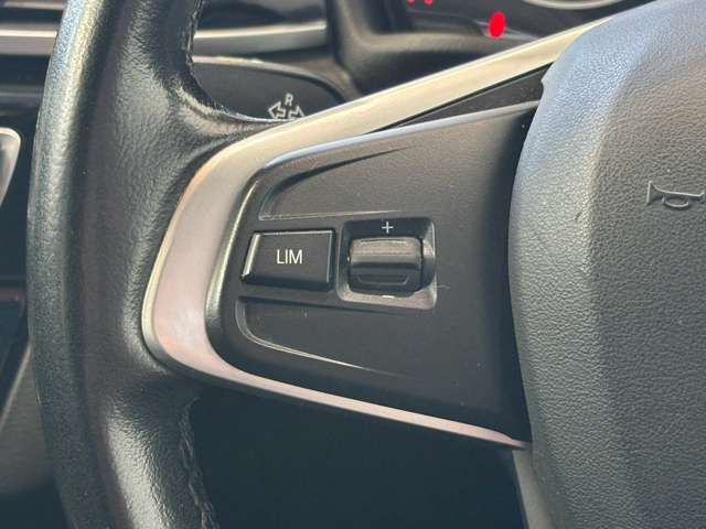 ＢＭＷ Ｘ１ Ｘドライブ ２０Ｉ Ｘライン ４ＷＤ H30年 (甲信越・北陸) 99