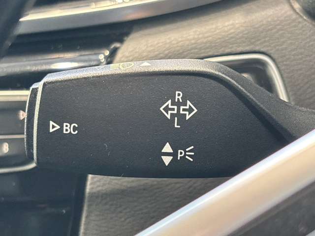 ＢＭＷ Ｘ１ Ｘドライブ ２０Ｉ Ｘライン ４ＷＤ H30年 (甲信越・北陸) 99