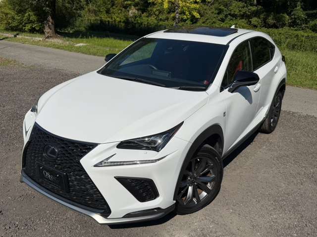 レクサス ＮＸ３００ｈ Ｆスポーツ R1年 (近畿) 99