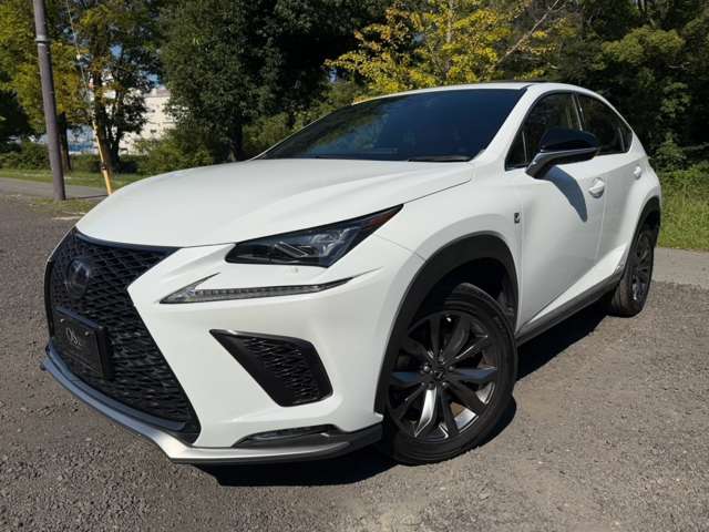 レクサス ＮＸ３００ｈ Ｆスポーツ R1年 (近畿) 99
