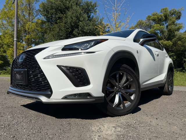 レクサス ＮＸ３００ｈ Ｆスポーツ R1年 (近畿) 99