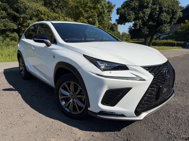レクサス ＮＸ３００ｈ Ｆスポーツ R1年 (近畿) 99