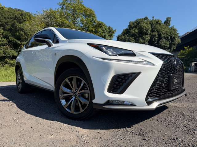 レクサス ＮＸ３００ｈ Ｆスポーツ R1年 (近畿) 99