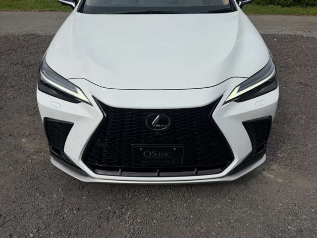 レクサス ＮＸ３５０ｈ Ｆスポーツ R7年 (近畿) 99