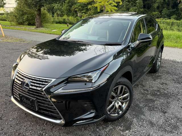 レクサス ＮＸ３００ｈ ３００Ｈ バージョンＬ ４ＷＤ R3年 (近畿) 99