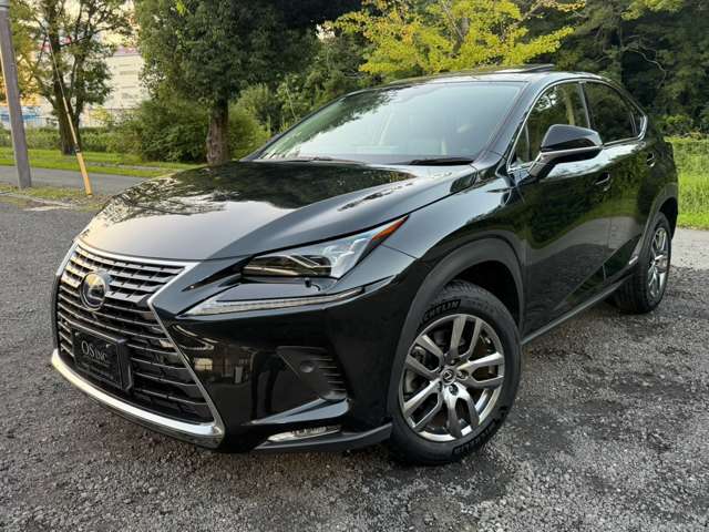 レクサス ＮＸ３００ｈ ３００Ｈ バージョンＬ ４ＷＤ R3年 (近畿) 99