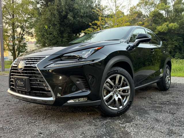 レクサス ＮＸ３００ｈ ３００Ｈ バージョンＬ ４ＷＤ R3年 (近畿) 99