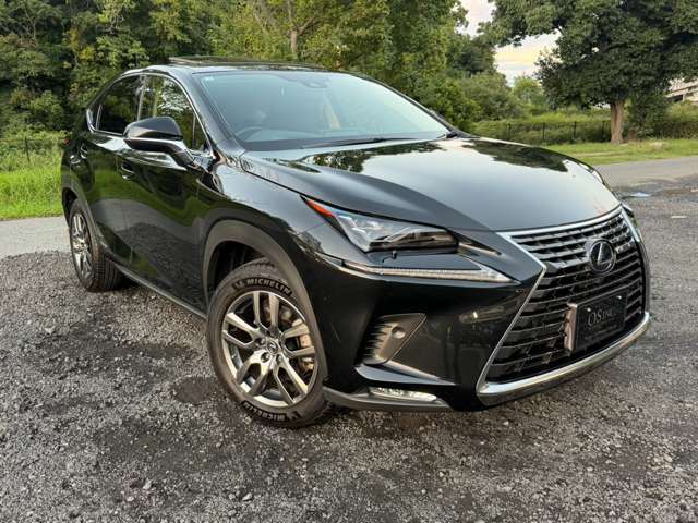 レクサス ＮＸ３００ｈ ３００Ｈ バージョンＬ ４ＷＤ R3年 (近畿) 99
