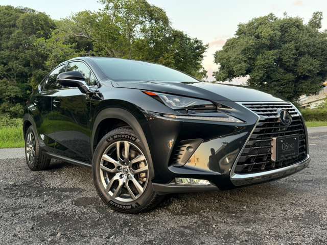 レクサス ＮＸ３００ｈ ３００Ｈ バージョンＬ ４ＷＤ R3年 (近畿) 99
