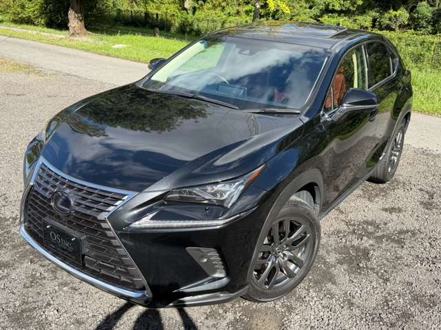 レクサス ＮＸ３００ｈ バージョンＬ H30年 (近畿) 99