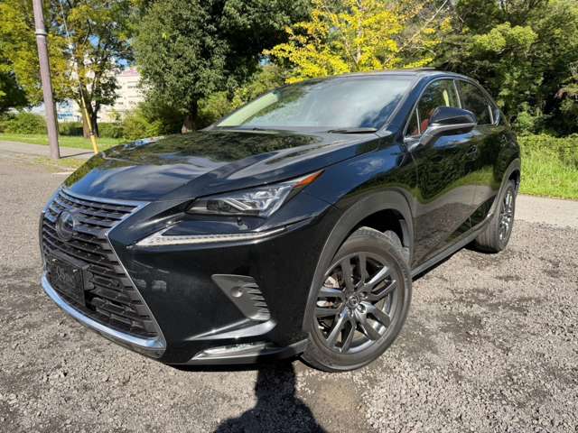 レクサス ＮＸ３００ｈ バージョンＬ H30年 (近畿) 99