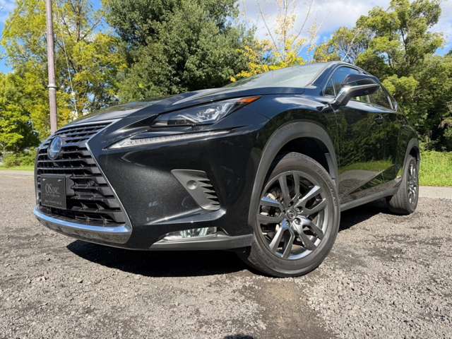 レクサス ＮＸ３００ｈ バージョンＬ H30年 (近畿) 99