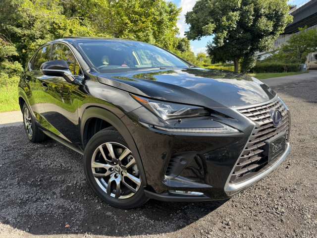 レクサス ＮＸ３００ｈ バージョンＬ H30年 (近畿) 99