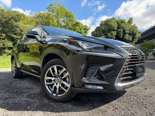 レクサス ＮＸ３００ｈ バージョンＬ H30年 (近畿) 99