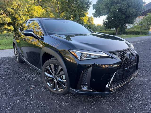レクサス ＵＸ２５０ｈ Ｆスポーツ R1年 (近畿) 99