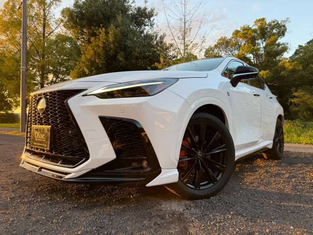 レクサス ＮＸ３５０ｈ Ｆスポーツ R5年 (近畿) 99