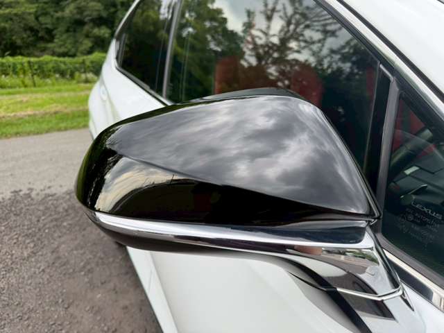 レクサス ＮＸ３００ｈ Ｆスポーツ H29年 (近畿) 99