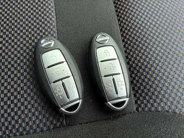 日産 セレナ ２．０ ハイウェイスター Ｖエアロセレクション H22年 (関東) 99