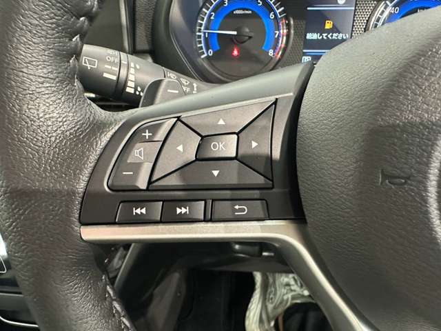 三菱 デリカ　ミニ ６６０ Ｔ プレミアム リミテッド エディション R7年 (中国) 99