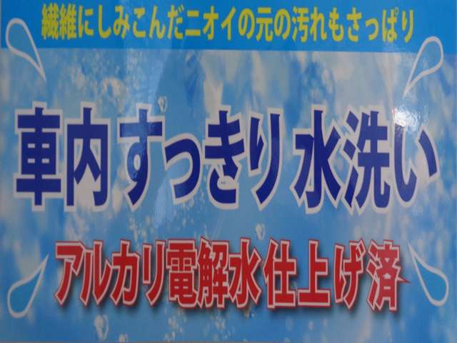 三菱フソウ キャンター ３．０ディーゼルターボ R1年 (関東) 99