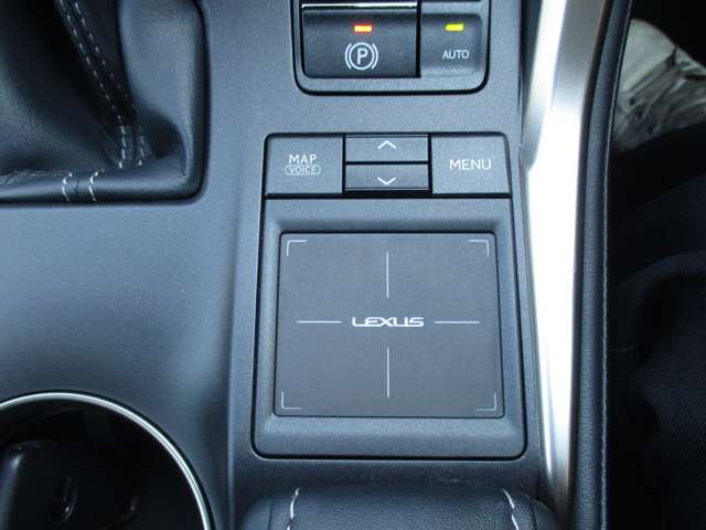 レクサス ＮＸ３００ｈ Ｆスポーツ H26年 (九州・沖縄) 99