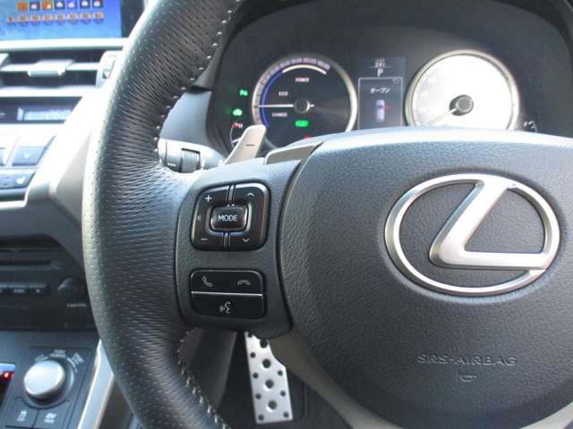 レクサス ＮＸ３００ｈ Ｆスポーツ H26年 (九州・沖縄) 99
