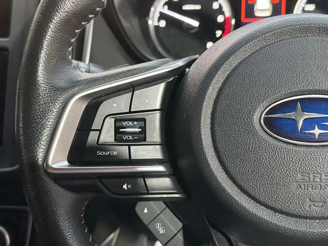 スバル フォレスター ２．５ プレミアム ４ＷＤ H30年 () 99
