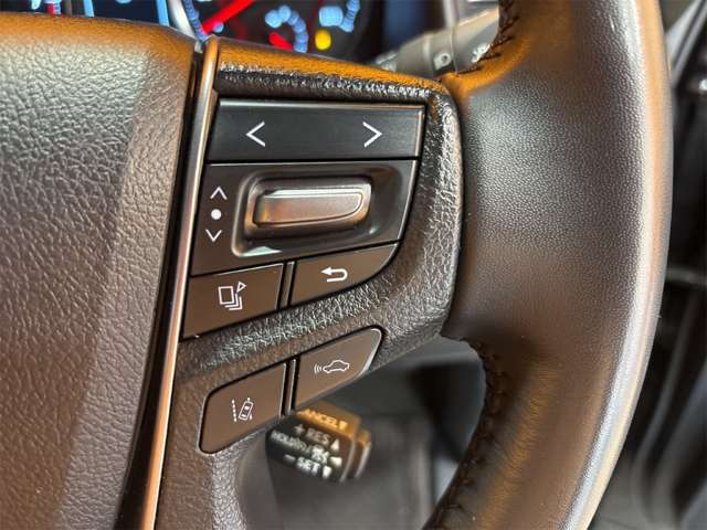 トヨタ アルファード ２．５ Ｓ タイプゴールドＩＩ R3年 (近畿) 99