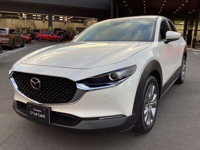マツダ ＣＸ−３０ ２．０ ２０Ｓ ツーリング R7年 () 99