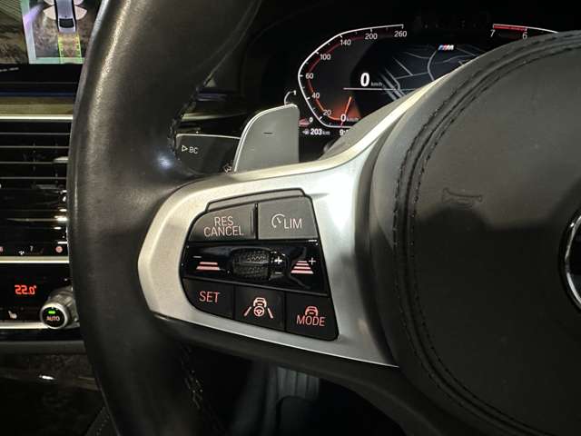 ＢＭＷ ５シリーズ ５３０ｉ　Ｍスポーツ R3年 (関東) 99