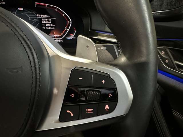 ＢＭＷ ５シリーズ ５３０ｉ　Ｍスポーツ R3年 (関東) 99